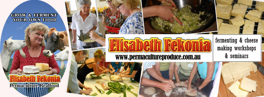 Permaculture realfood logo